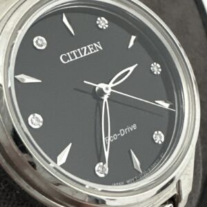 Citizen Women's  Diamond Black Dial 29mm Watch FE2100-51E